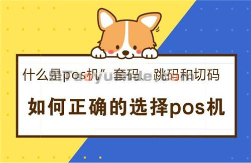 什么是pos机套码和跳码？有什么危害？ 第1张
